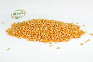 PATLAYAN MISIR 1000 gr