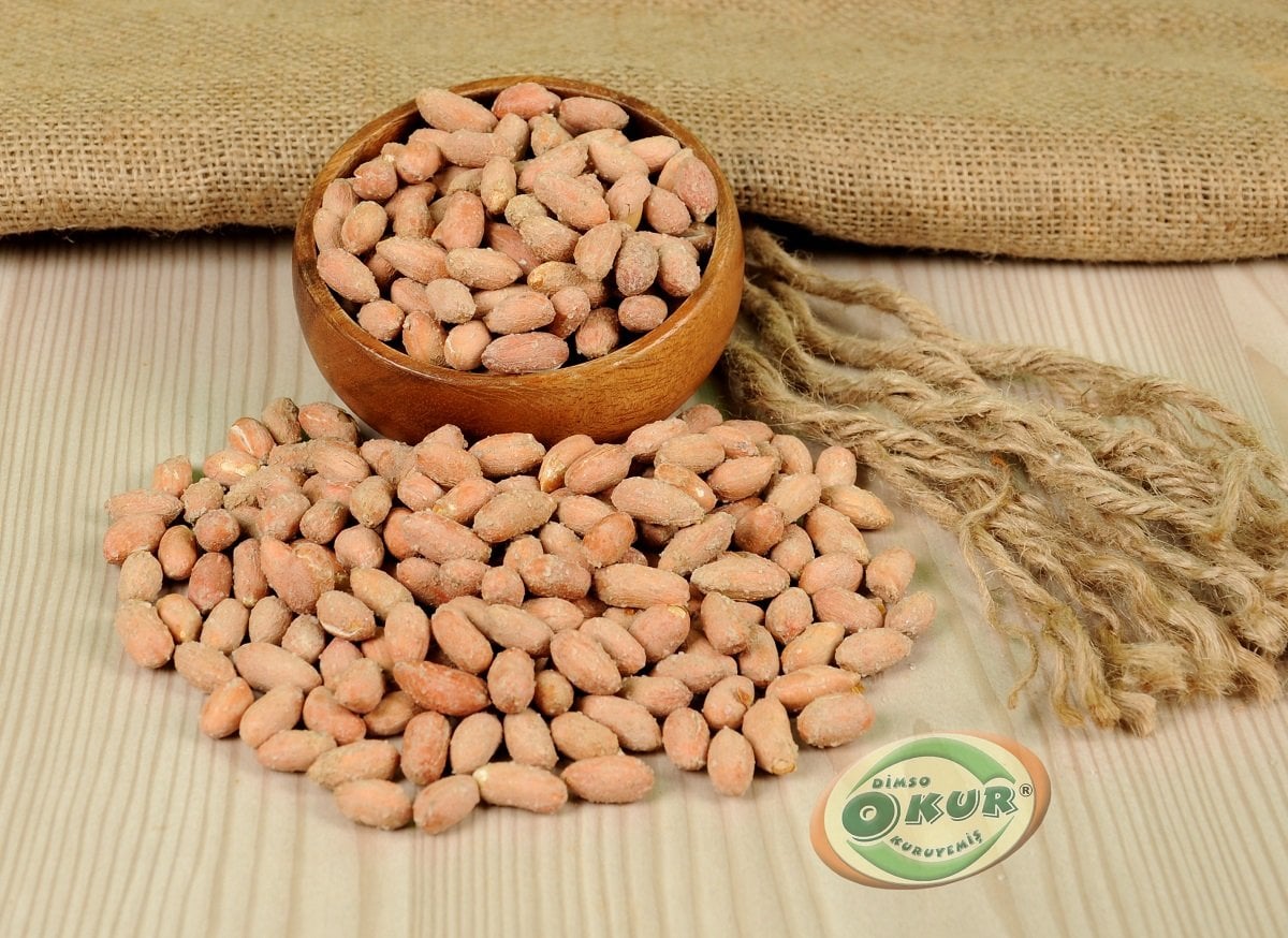 YER FISTIĞI TUZLU KAVRULMUŞ (MİNTİ)