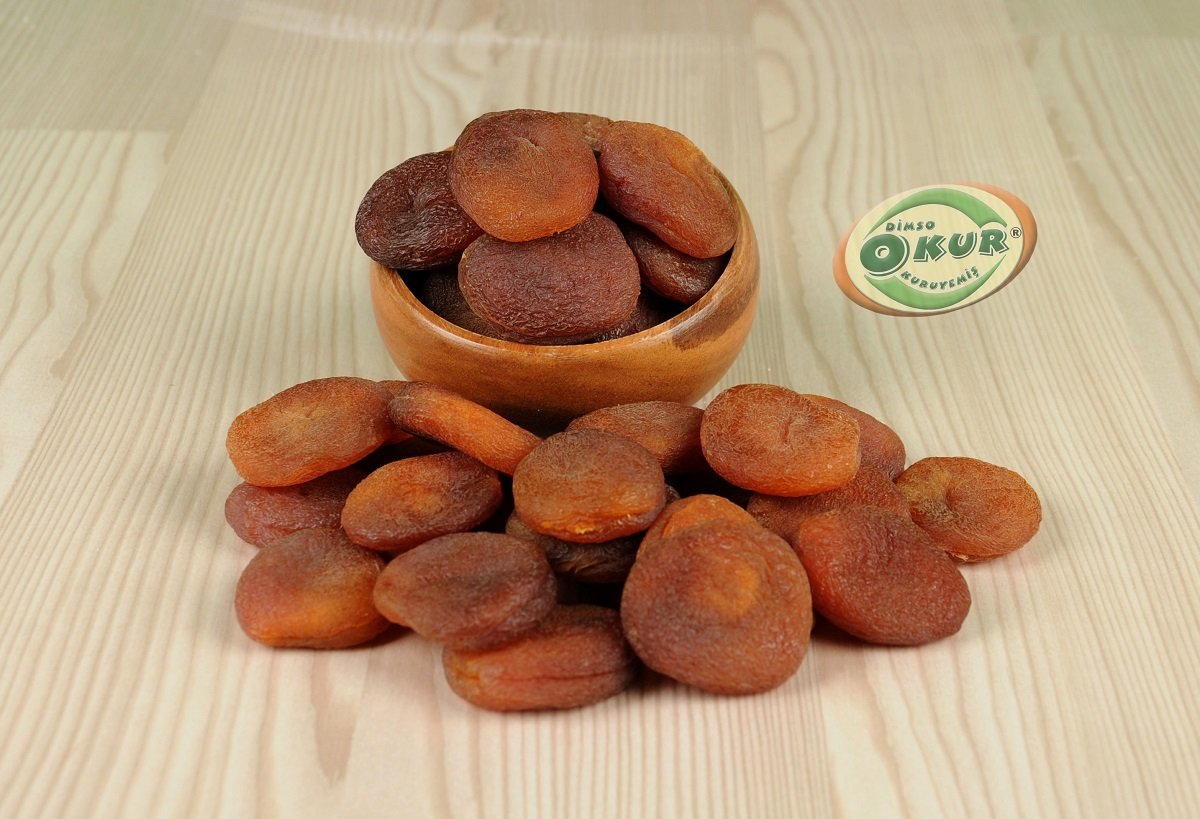 GÜN KURUSU KAYISI ÖZEL