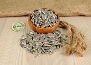 DAKOTA ÇEKİRDEĞİ TUZLU KAVRULMUŞ