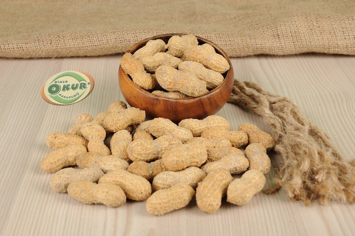 TUZLU KAVRULMUŞ KABUKLU FISTIK