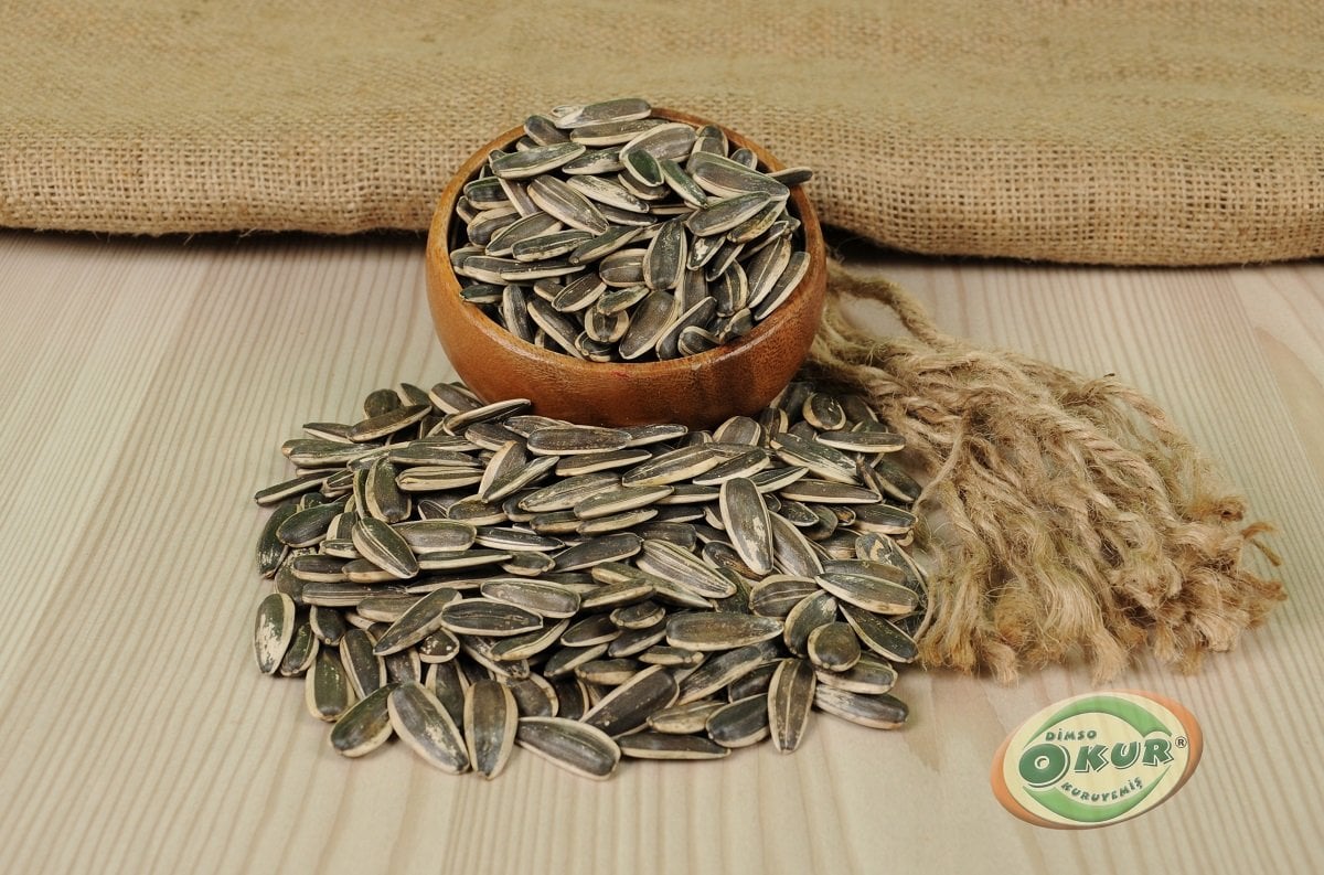 DAKOTA TUZSUZ KAVRULMUŞ